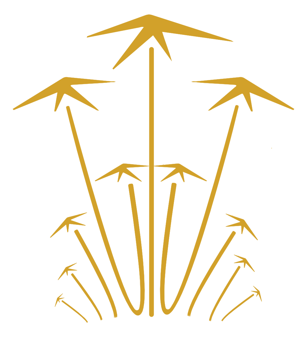 W24H Logo